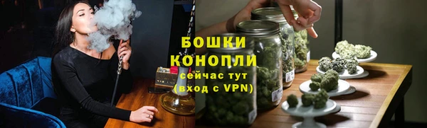 прущие крисы Белокуриха
