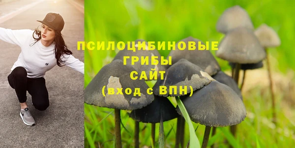 прущие крисы Белокуриха