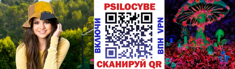 Псилоцибиновые грибы Cubensis  Пионерский 
