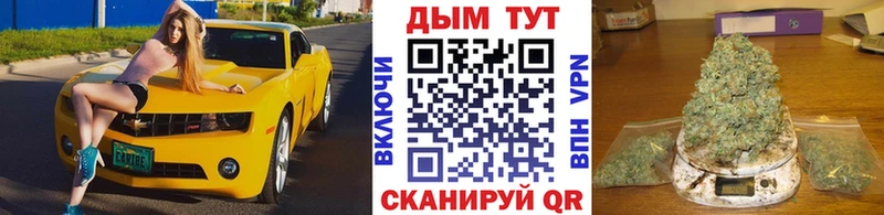 Канабис сатива Пионерский